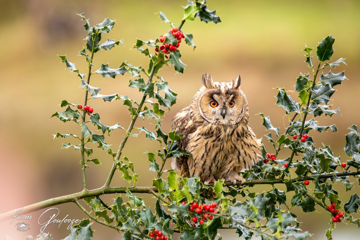  5D40632 28 november 2021 1404 25